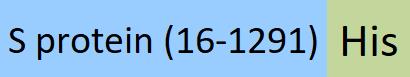 SPN-H52H4-structure