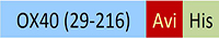 TN4-H82E4-structure