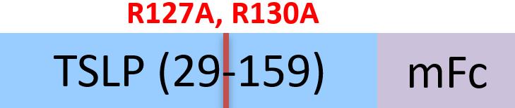 TSP-H5255-structure