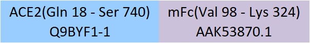 ACE2 Structure