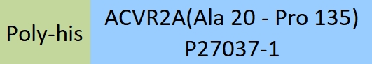 Activin RIIA Structure