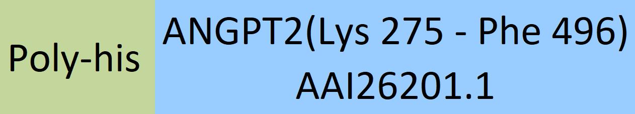 Angiopoietin-2 Structure