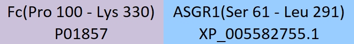 ASGR1 Structure