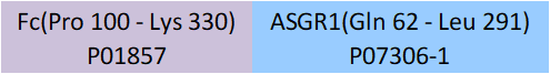 ASGR1 Structure