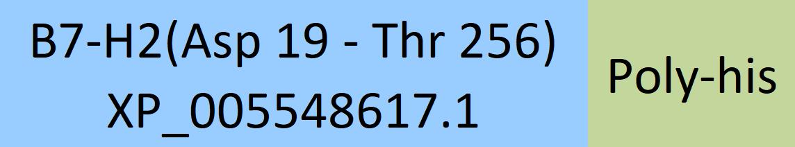 B7-H2 Structure