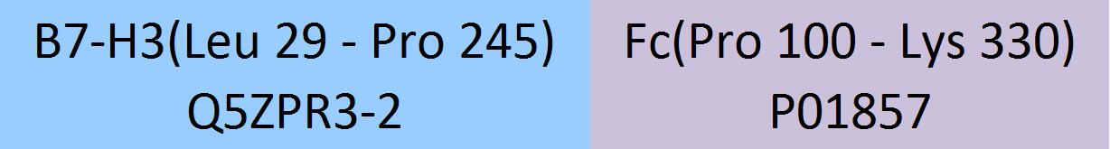 B7-H3 Structure