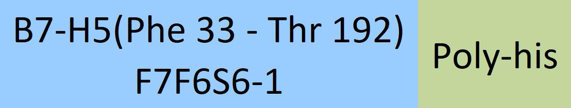 B7-H5 Structure