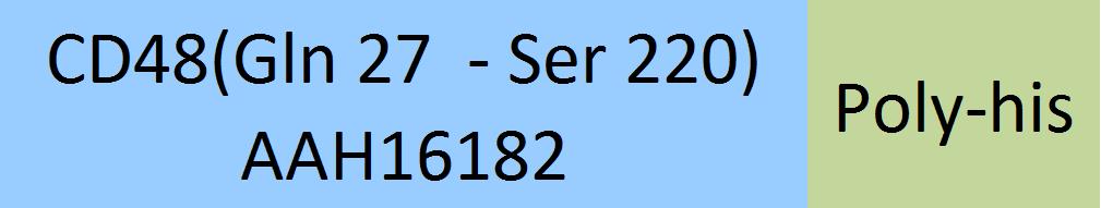 CD48 Structure