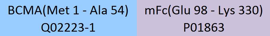 BCMA Structure