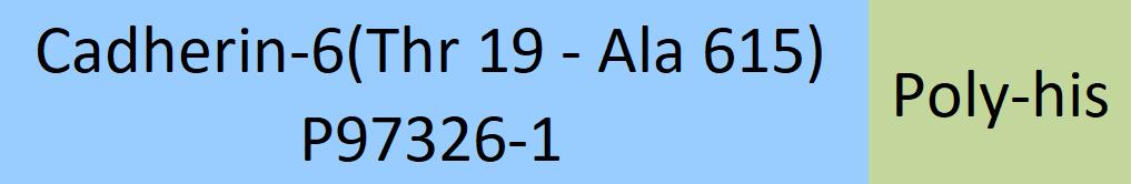 Cadherin-6 Structure