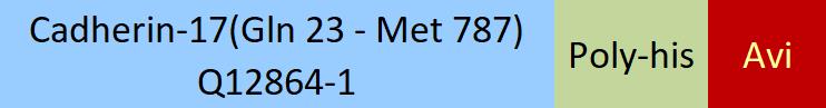 Cadherin-17 Structure