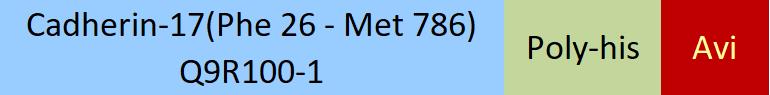 Cadherin-17 Structure