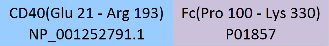 CD40 Structure