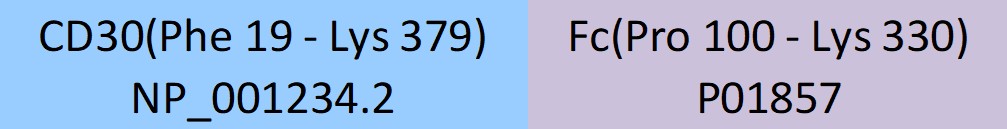 CD30 Structure