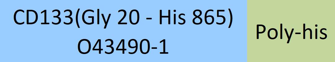 CD133 Structure