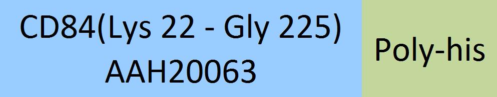 CD84 Structure