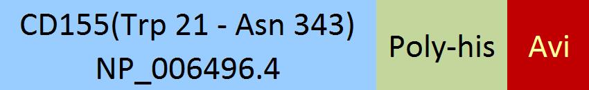 CD155 Structure