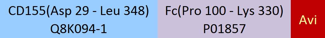 CD155 Structure