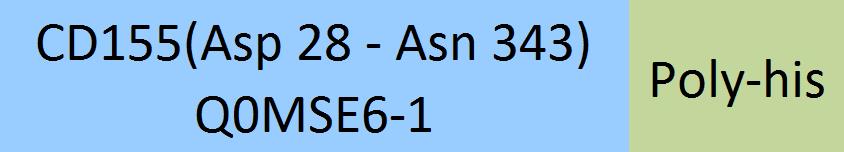 CD155 Structure