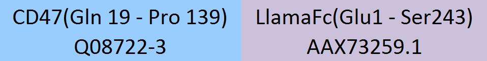 CD47 Structure