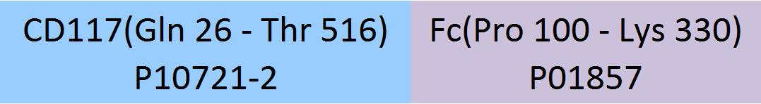 CD117 Structure