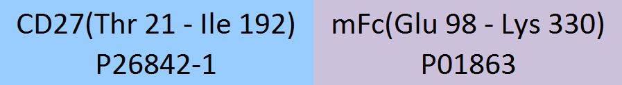 CD27 Structure