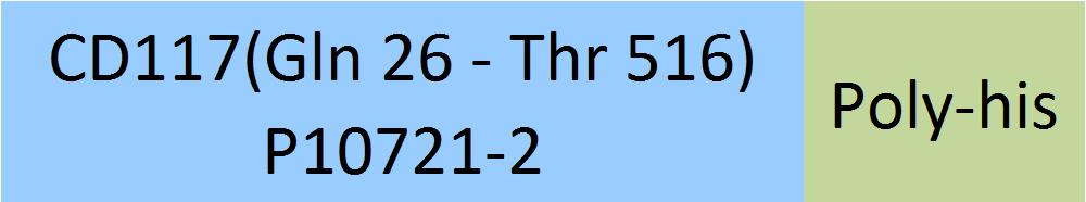 CD117 Structure