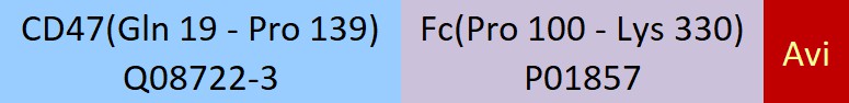 CD47 Structure