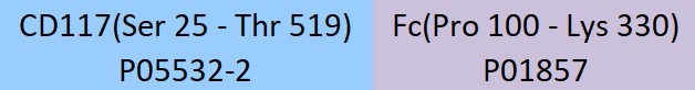 CD117 Structure