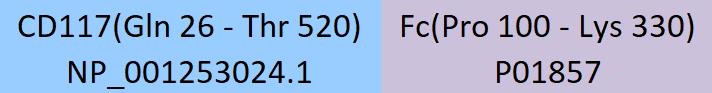 CD117 Structure