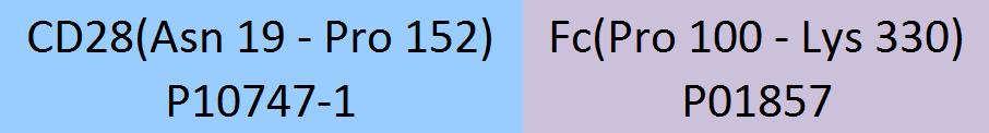 CD28 Structure