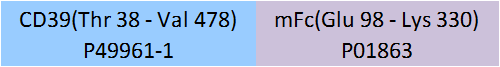 CD39 Structure