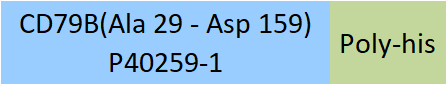 CD79B Structure