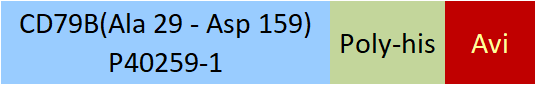 CD79B Structure