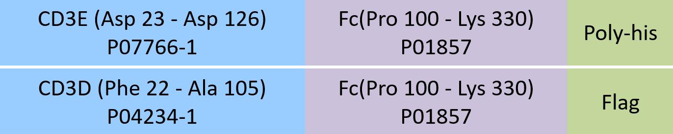 CD3E & CD3D Structure