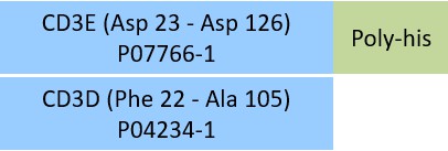 CD3E & CD3D Structure