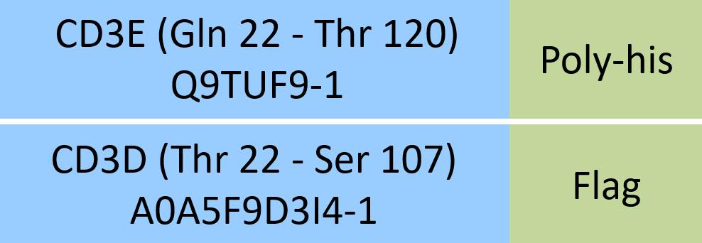 CD3E & CD3D Structure