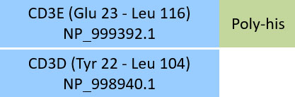 CD3E & CD3D Structure