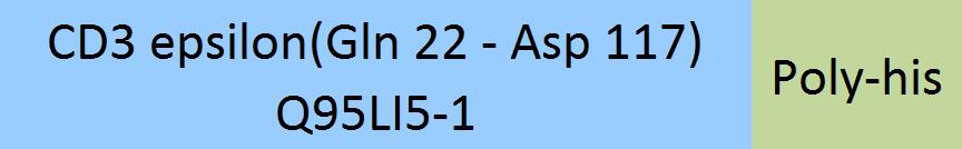 CD3 epsilon Structure