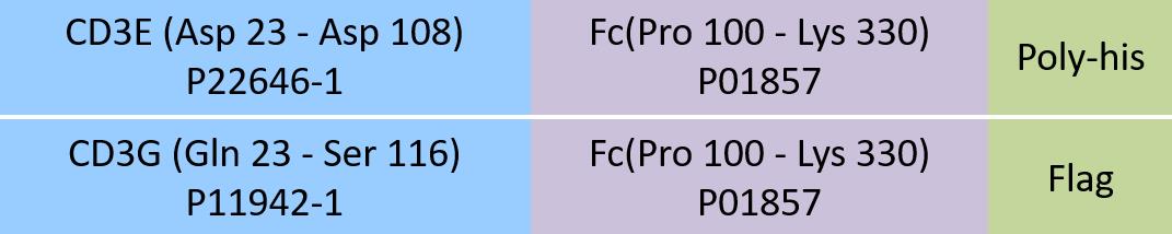 CD3E & CD3G Structure