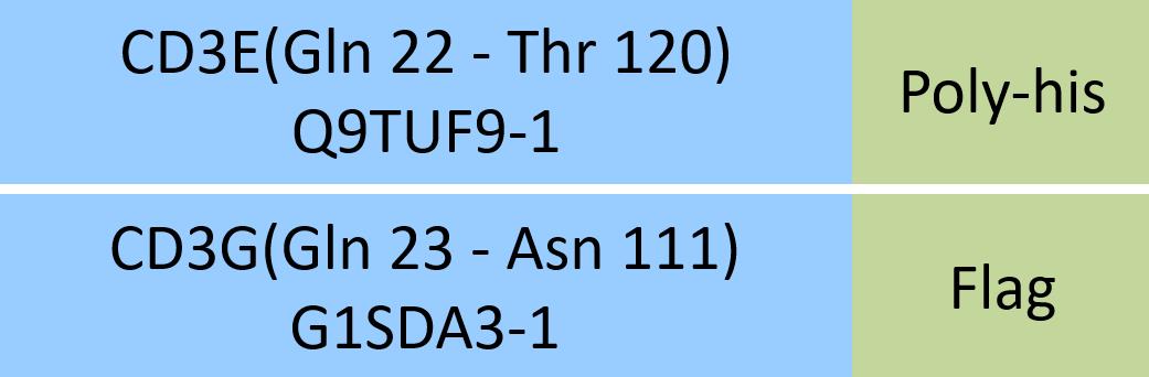 Online(Gln 22 - Thr 120 (CD3E) & Gln 23 - Asn 111 (CD3G)) Q9TUF9-1 (CD3E) & G1SDA3-1 (CD3G)