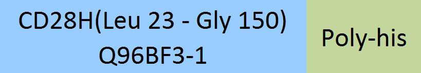 CD28H Structure