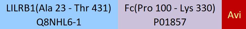 LILRB1 Structure