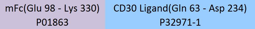 CD30 ligand Structure