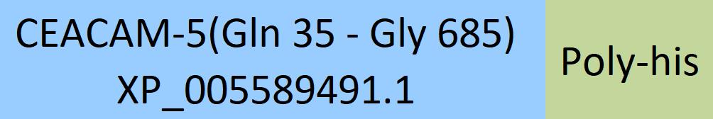 CEACAM-5 Structure