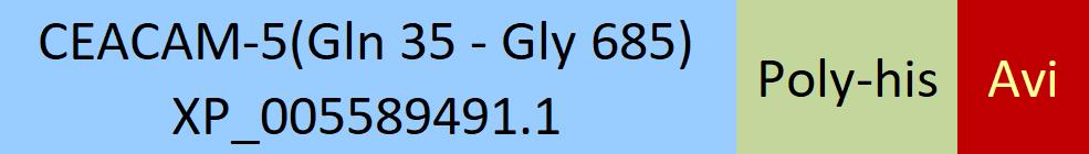 Online(Gln 35 - Gly 685) XP_005589491.1