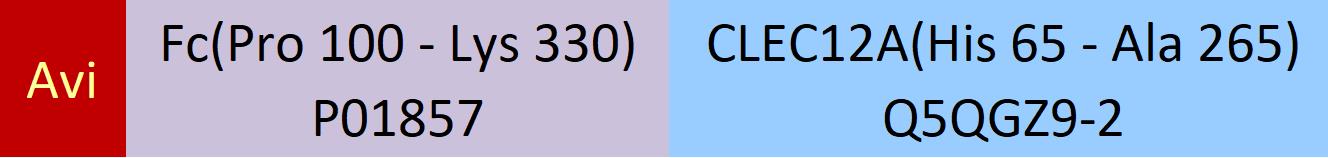 CLEC12A Structure