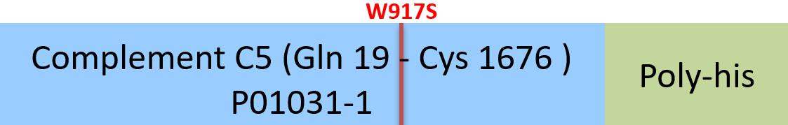 Complement C5 Structure