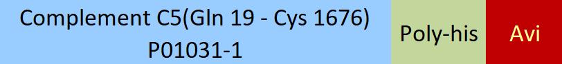 Complement C5 Structure