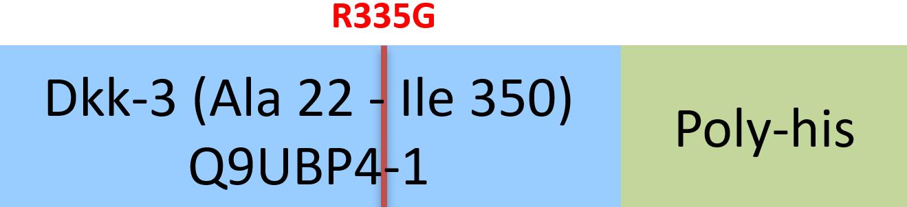 Dkk-3 Structure